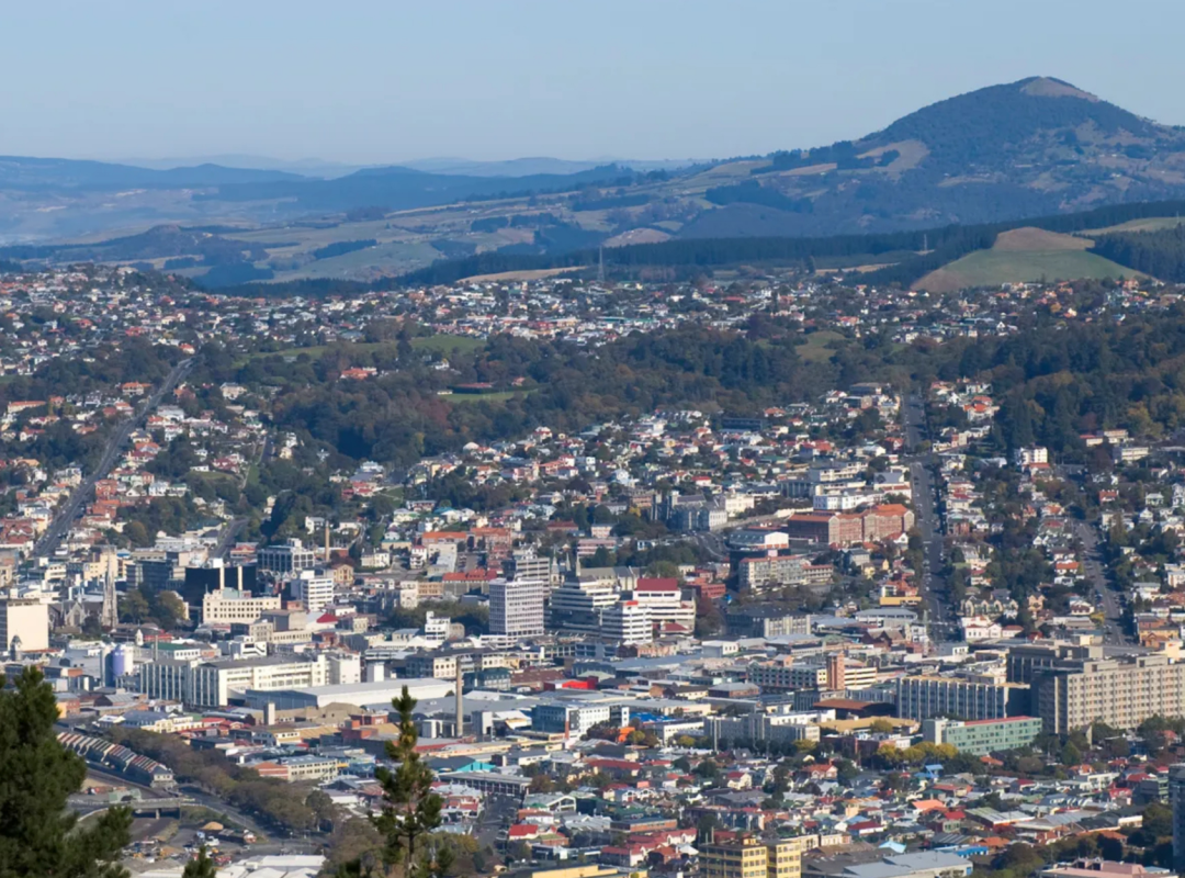 Startups in Dunedin